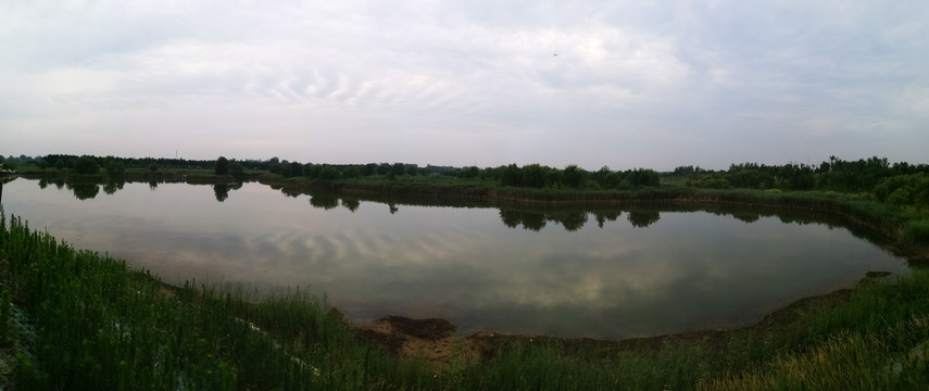 大沙河湿地