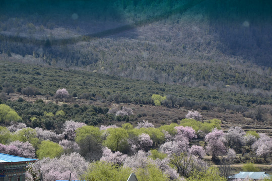 雅鲁藏布江风景