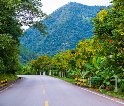 乡村公路