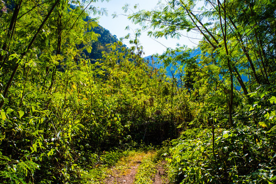 乡间小路