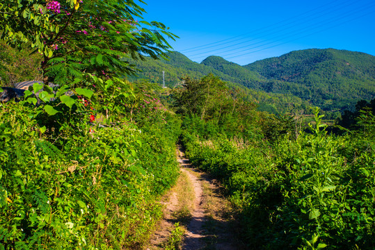 乡间小路