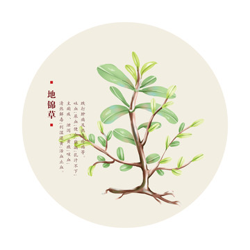地錦草