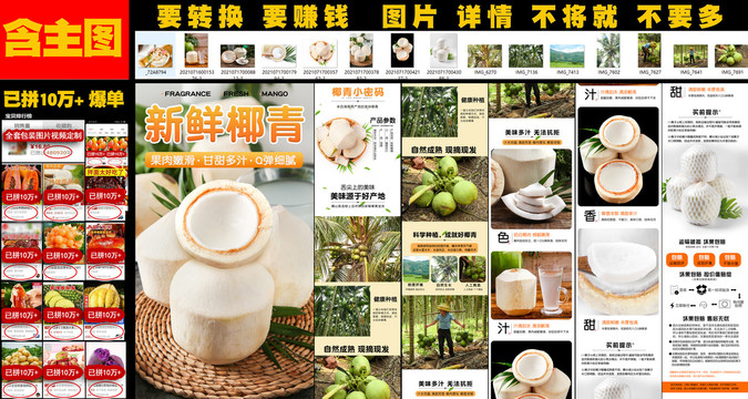 新鮮椰青詳情