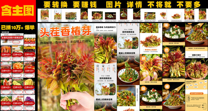 頭茬香椿芽