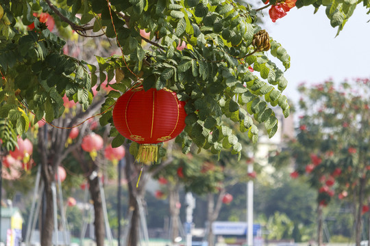 大红灯笼高高挂