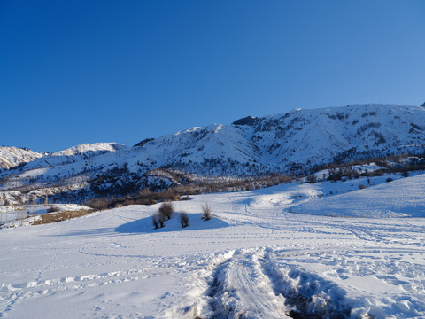 雪景