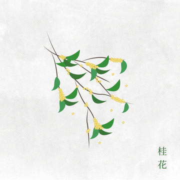 手繪桂花