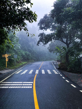 热带雨林