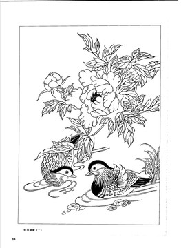 牡丹鴛鴦AI矢量圖