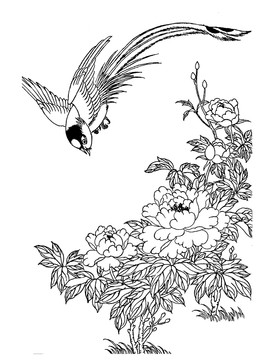 壽帶牡丹AI矢量圖