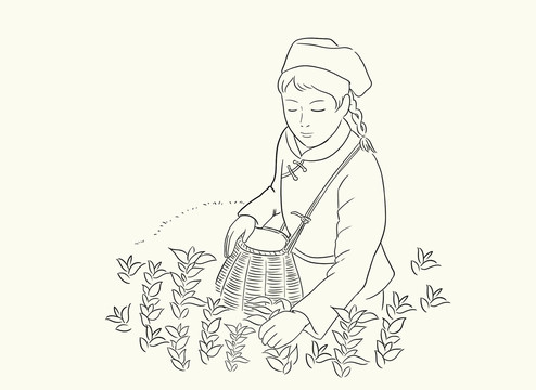 采茶簡筆畫