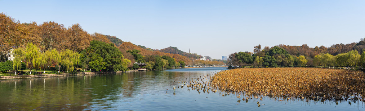 杭州西湖秋天