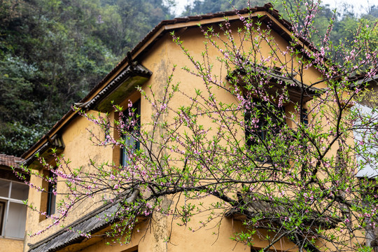 安吉石佛寺