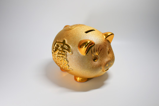 金猪