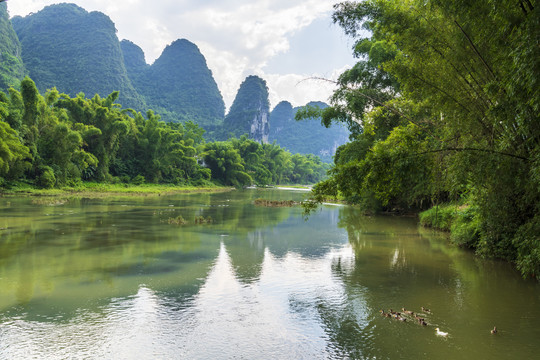 青山绿水竹林