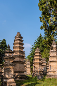 中国河南嵩山少林寺的塔林