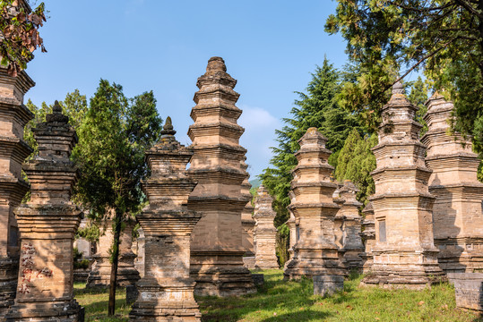 中国河南嵩山少林寺的塔林