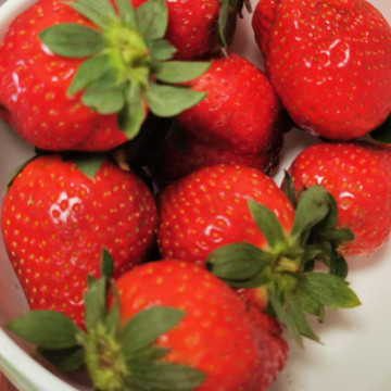一碗新鲜的草莓
