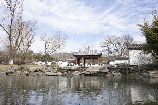 南京明孝陵梅花山景区