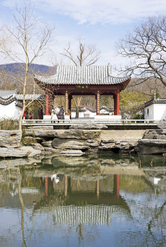 南京明孝陵梅花山景区