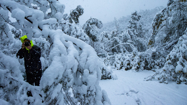 云南大雪