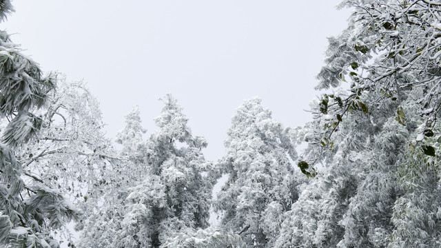 梁王山雪景