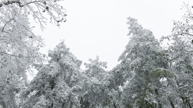 梁王山雪景