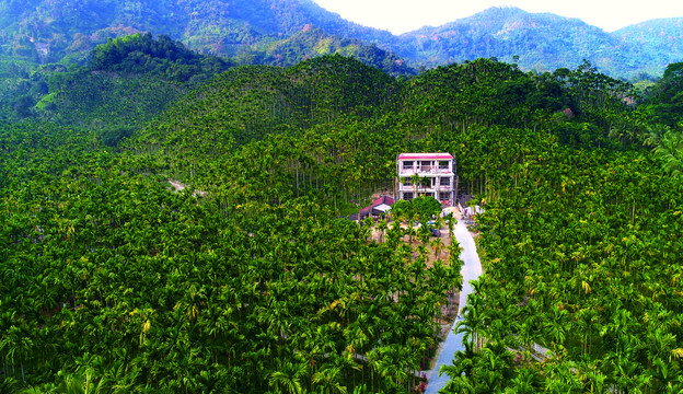 山区风景