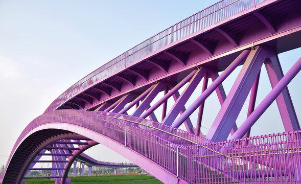 紫色小清新网红人行天桥