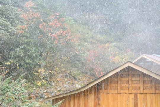 甘孜木格措冬季暴雪下的小木屋