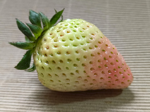 淡雪鲜草莓