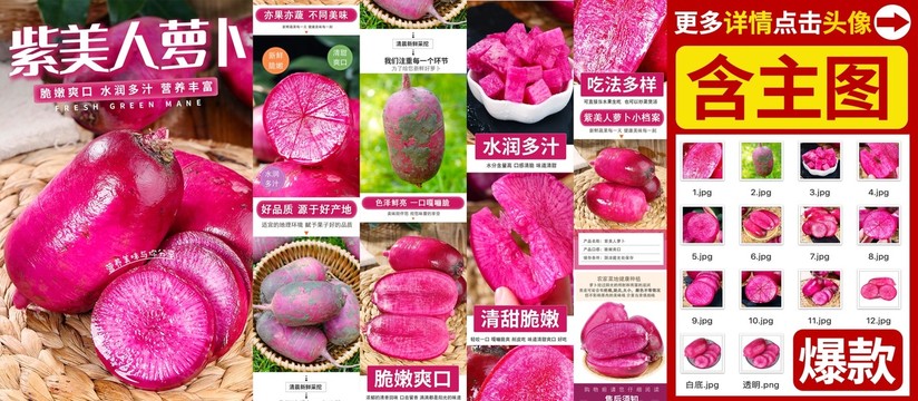 紫美人蘿卜詳情