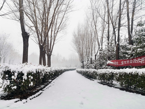 雪景