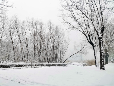 公园雪景