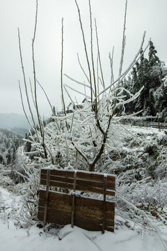 雪景