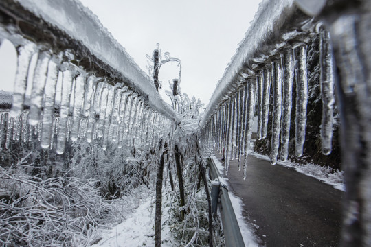 雪景