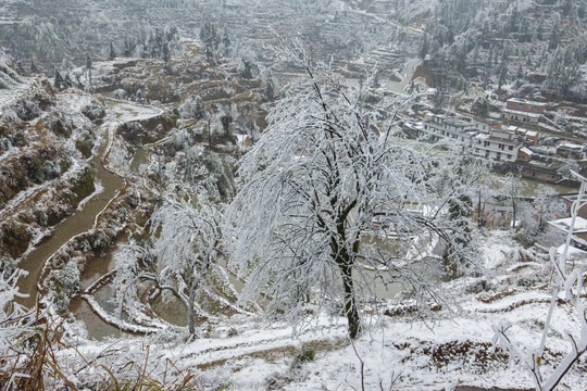 冬天雪景