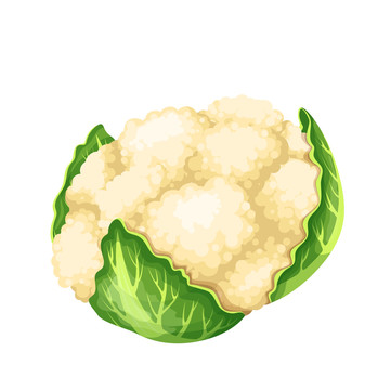 健康花菜插圖