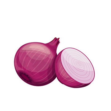 紫色洋葱插图
