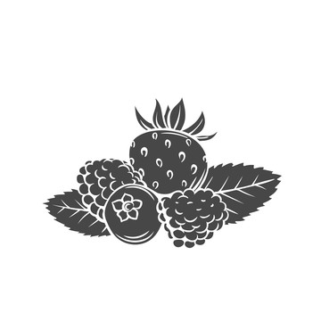 黑白多種莓果插圖