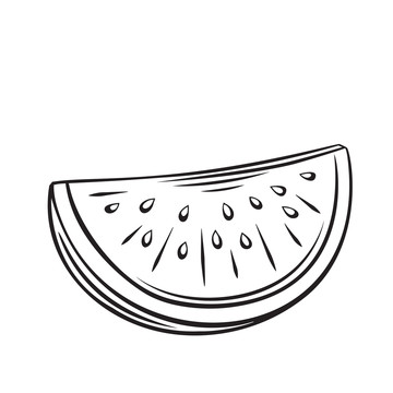 黑白西瓜切片插圖