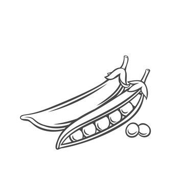 黑色線描豌豆插圖