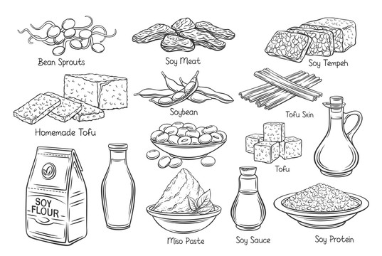 黑白手繪豆制品介紹插圖