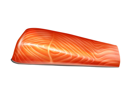 三文鱼肉水彩插图