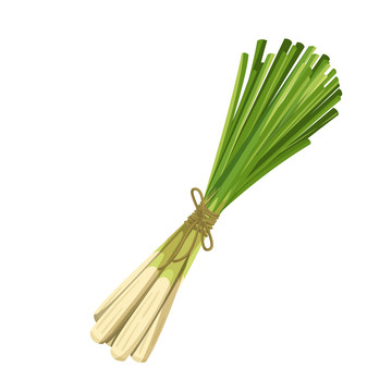 綠色檸檬草香料插圖