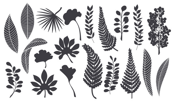 黑色自然植物轮廓插图