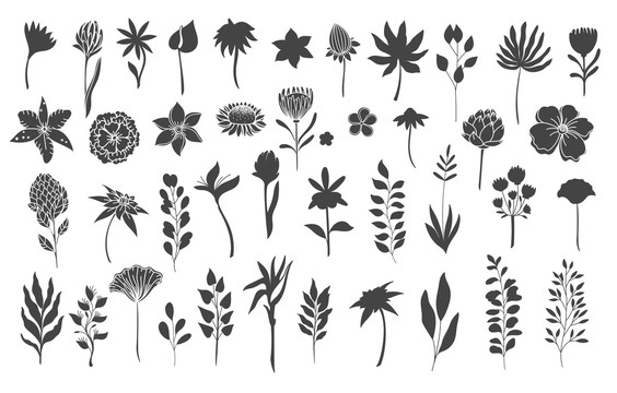 黑色热带植物剪影插图