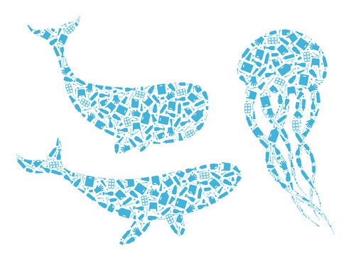 塑料鲸豚水母图案
