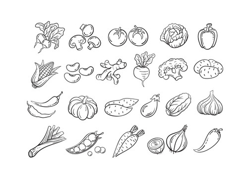 手绘各式蔬菜图案