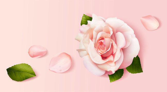 浪漫粉色玫瑰花元素